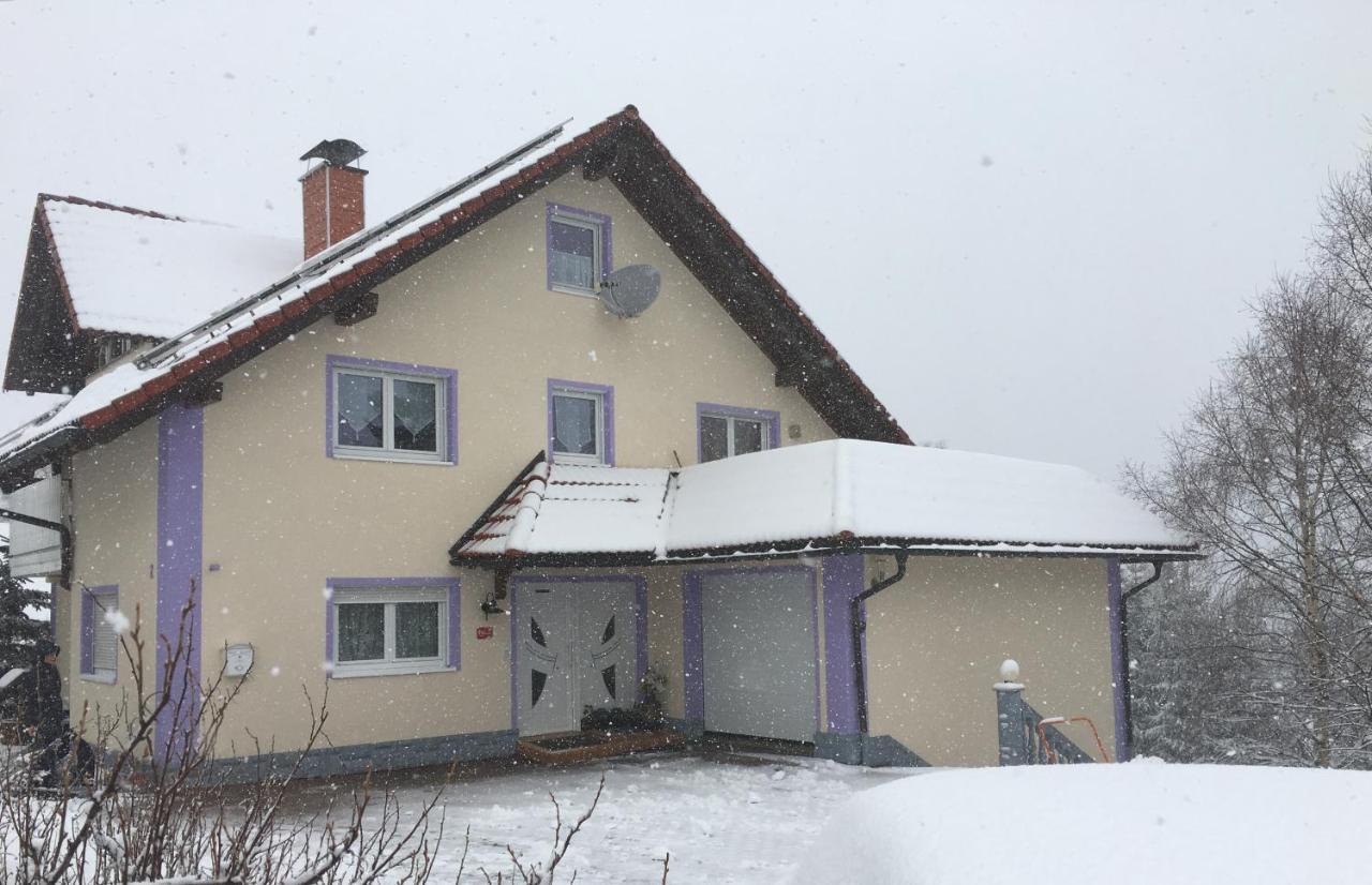 Haus Zeichner 4 Zimmer Ferienwohnung Feldberg  Exterior foto